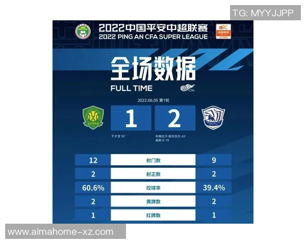 武汉网球队速度表现分析及其对比赛成绩的影响探讨